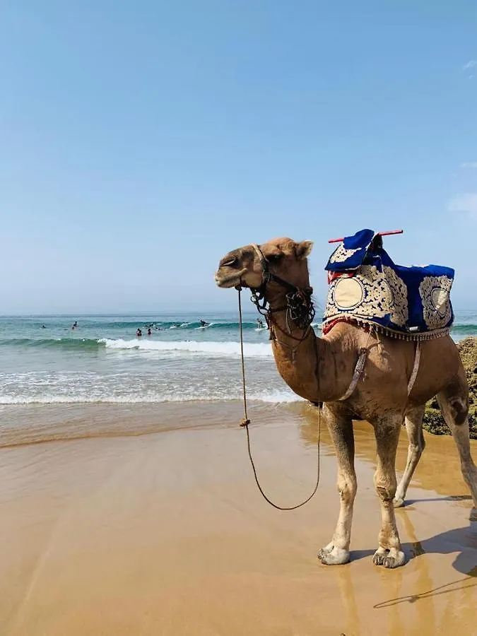 Well Being Point Apartment Agadir